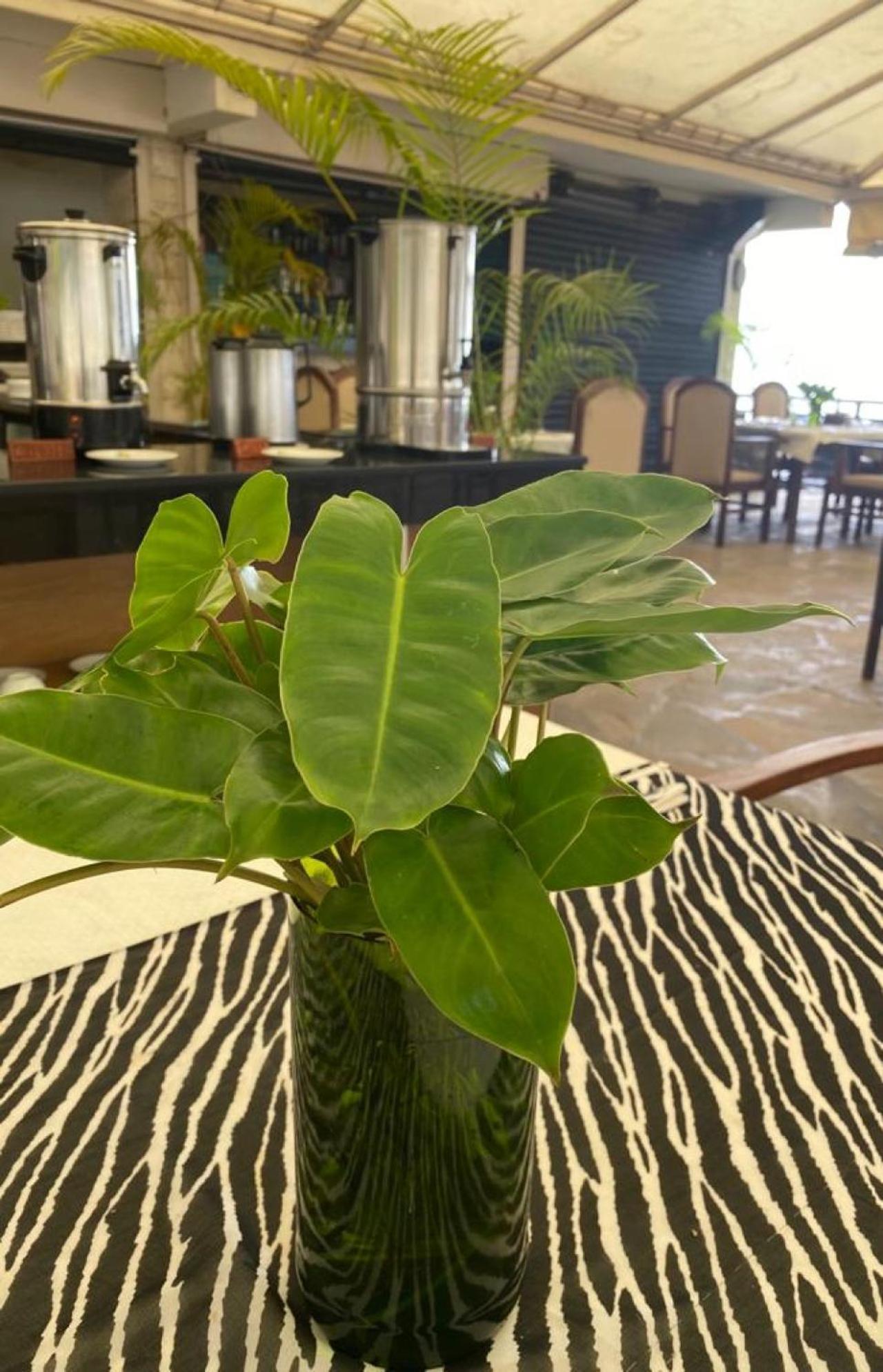 Indiana Beach Apartments Bamburi Esterno foto